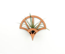 Load image into Gallery viewer, Air Plant Holder Geometric Wooden Wall Hanging Display, Office or Home Decor Plant Lover Gift Living Wall Art Air Plant Hanger Wall Vase
